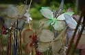 SFaire_2013 (61)